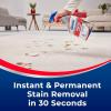 imageWoolite Advantage INSTAclean Pet Stain Remover  2 Pack 3322