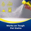 imageWoolite Advantage Pet Urine Eliminator 44 Fl Oz Pack of 2