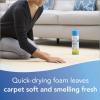 imageBISSELL Heavy Traffic Carpet Foam Gain 22oz Pack of 4 14399Original Febreze