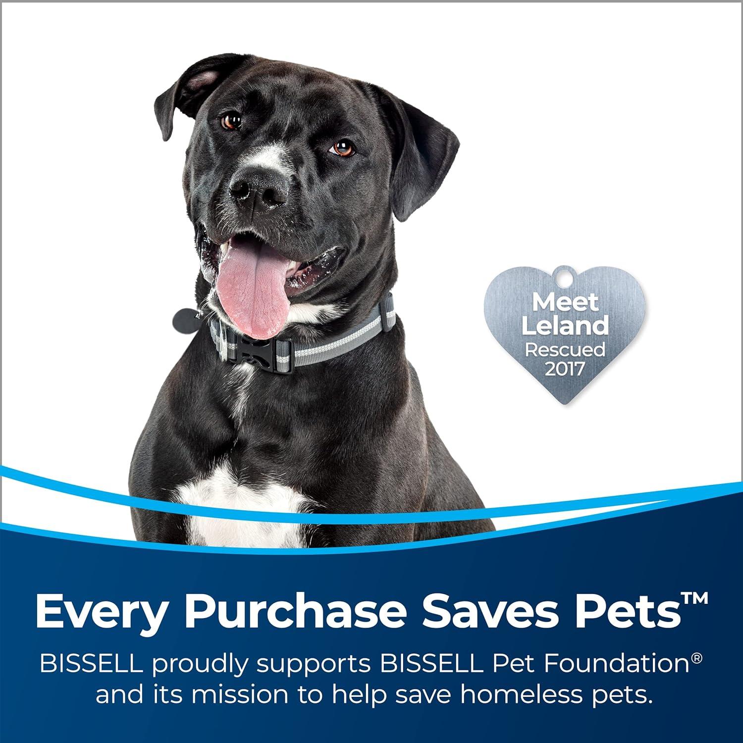 imageBissell MultiClean Allergen Rewind Pet Vacuum with HEPA Filter Sealed System Automatic Cord Rewind TangleFree Brush Roll ampamp LED Headlights 3402MulitClean LiftOff