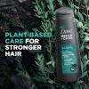 imageDOVE MEN  CARE 2 in 1 Shampoo ampamp Conditioner Eucalyptus ampamp Birch 4 Count For HealthyLooking Hair Naturally Derived Plant Based Cleansers 12 oz12 Fl Oz Pack of 4