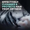 imageDOVE MEN  CARE 2 in 1 Shampoo ampamp Conditioner Eucalyptus ampamp Birch 4 Count For HealthyLooking Hair Naturally Derived Plant Based Cleansers 12 oz12 Fl Oz Pack of 4