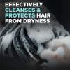 imageDOVE MEN  CARE 2 in 1 Shampoo ampamp Conditioner Eucalyptus ampamp Birch 4 Count For HealthyLooking Hair Naturally Derived Plant Based Cleansers 12 oz204 Fl Oz Pack of 3