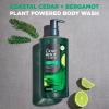imageDOVE MEN  CARE Body Wash To Rebuild Skin In The Shower Coastal Cedar With Plantbased Cleansers And Moisturizers 26 Fl Oz