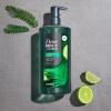 imageDOVE MEN  CARE Body Wash To Rebuild Skin In The Shower Coastal Cedar With Plantbased Cleansers And Moisturizers 26 Fl Oz