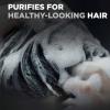 imageDOVE MEN  CARE Shampoo Charcoal  Clay 3 Count For HealthyLooking Hair Naturally Derived Plant Based Cleansers 254 oz
