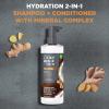 imageDove MenCare 2in1 Shampoo  Conditioner Ginger ampamp Coconut Oil for Hydrated Hair Mineral Complex 175 oz175 Fl Oz Pack of 1
