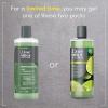 imageDOVE MEN  CARE Body 4 Count Wash Lime  Avocado Oil to Rebuild Skin in the Shower with PlantBased Cleansers and Moisturizers 18 oz