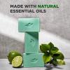 imageDOVE MEN  CARE Cleansing Bar Soap Eucalyptus  Cedar Oil 4 Count to Rebuild Skin in the Shower a 4in1 Hair Body Face ampamp Shaving Bar with PlantBased Cleanser and Natural Oils 5 ozLime and Avocado Oil