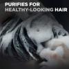 imageDOVE MEN  CARE Purifying Shampoo Charcoal  Clay 2 Pk for Stronger More Resilient Hair with PlantBased Cleansers 31 ozFragranced