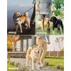 imageOutdoorMaster Bungee Dog Leash Heavy Duty Dog Leash with Shock Absorption 2 Padded Handles Training Leash Improved Dog Safety and Comfort Tan 4 FTBrown