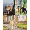 imageOutdoorMaster Bungee Dog Leash Heavy Duty Dog Leash with Shock Absorption 2 Padded Handles Training Leash Improved Dog Safety and Comfort Tan 4 FTKhakiTan