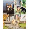imageOutdoorMaster Bungee Dog Leash Heavy Duty Dog Leash with Shock Absorption 2 Padded Handles Training Leash Improved Dog Safety and Comfort Tan 4 FTPink