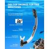 imageOutdoorMaster Mobula Snorkeling Gear for Adults Diving Mask and Snorkel Set with Tempered Glass AntiFog TOP Dry Snorkel for Diving Snorkeling SwimmingGrey