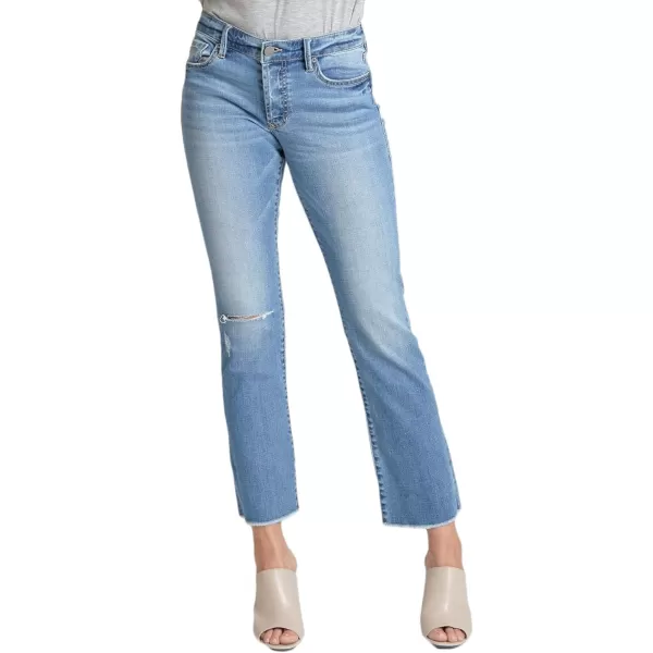 Dear John DPM20A211 Erin Slim Straight Denim in Michigan
