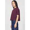 image:imageDEAR JOHN Maddox Top Womens Cotton Crew Neck Short SleeveFig