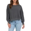 Pigment Dark Gull Grey