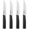 4-Piece Steak Knife Set