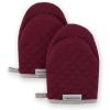 Boysenberry Purple