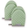 Pistachio Green