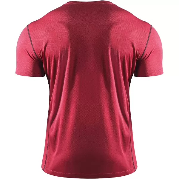NELEUS Men's Dry Fit Athletic Running Shirt
