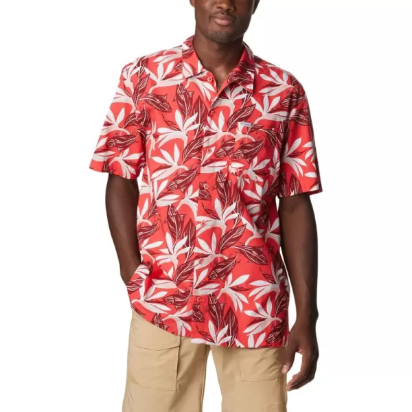 Red Hibiscus Tuna Paradise Print