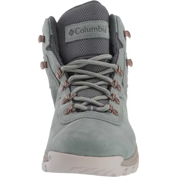 Columbia Womens Newton Ridge Plus Waterproof Amped Hiking BootLight Lichen  Canvas Tan