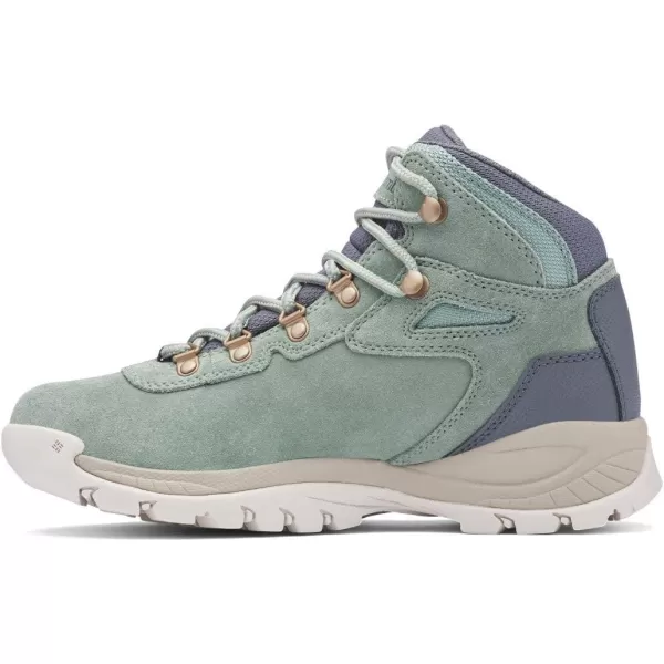 Columbia Womens Newton Ridge Plus Waterproof Amped Hiking BootLight Lichen  Canvas Tan