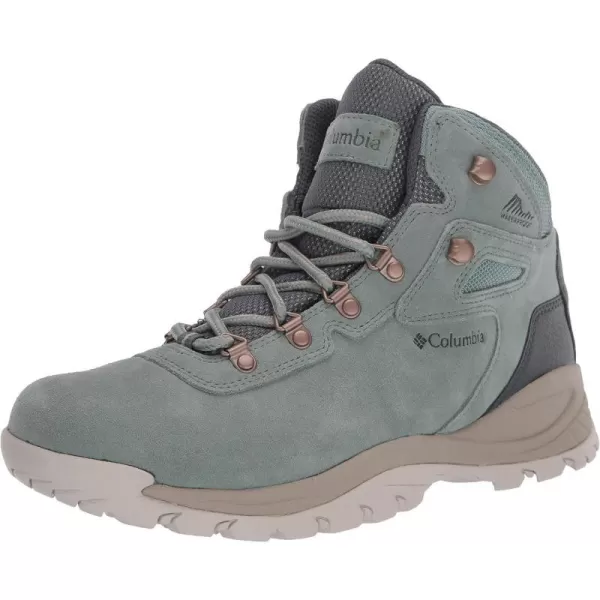 Columbia Womens Newton Ridge Plus Waterproof Amped Hiking BootLight Lichen  Canvas Tan