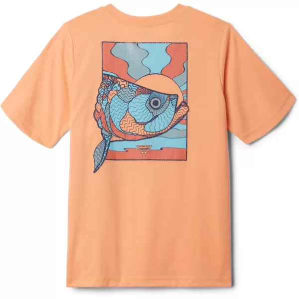 Columbia Boys PFG Short Sleeve Graphic TeeBright NectarTarpon Rise