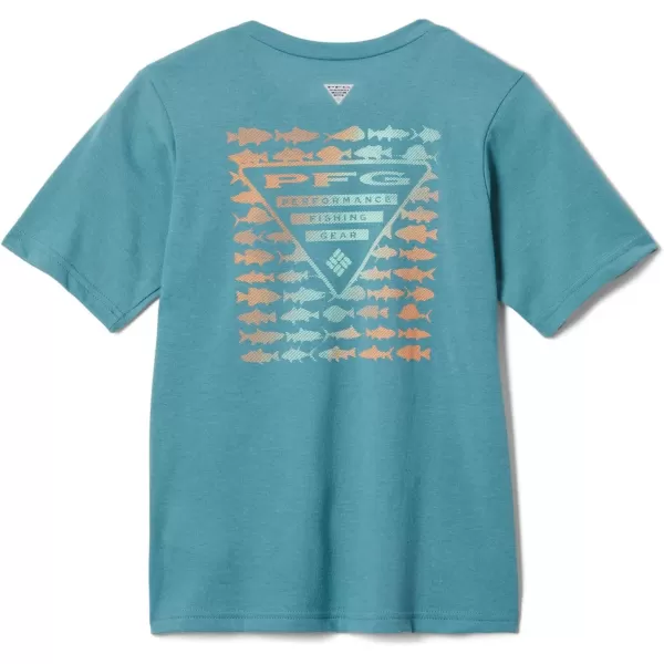 Columbia Boys PFG Short Sleeve Graphic TeeTranquil Teal  Pfg Elements Graphic