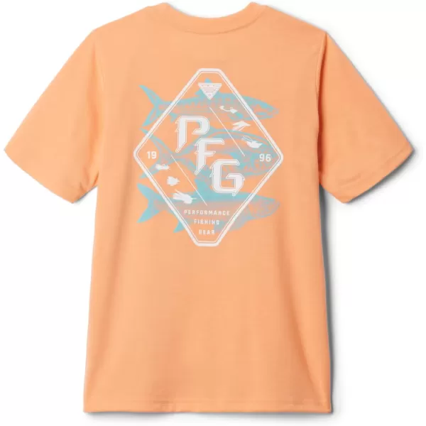 Columbia Boys PFG Short Sleeve Seasonal Graphic TeeBright NectarStack Em Inshore