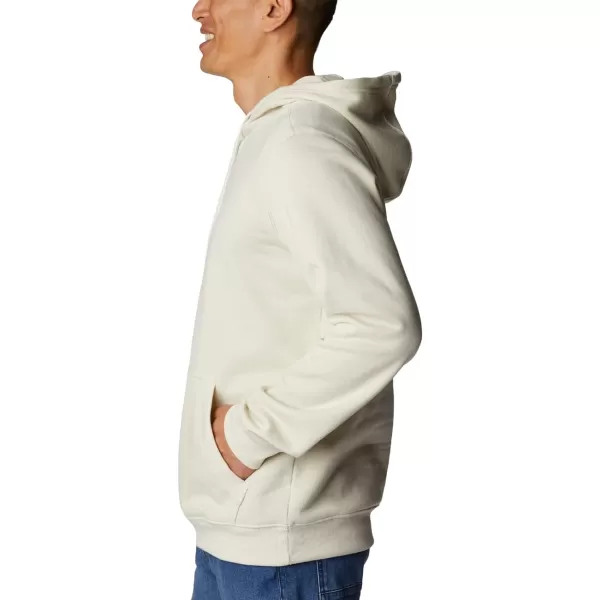 Columbia Mens CSC Basic Logo Ii HoodieChalkRipples Graphic