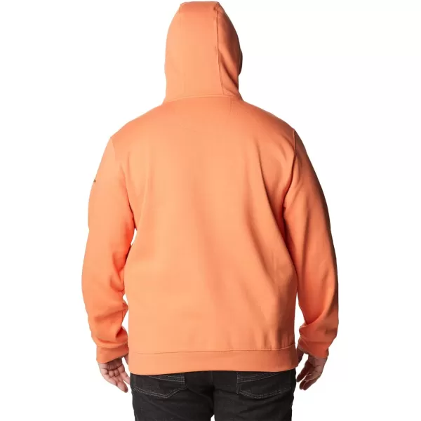 Columbia Mens CSC Basic Logo Ii HoodieDesert OrangeCsc Varsity Arch 2