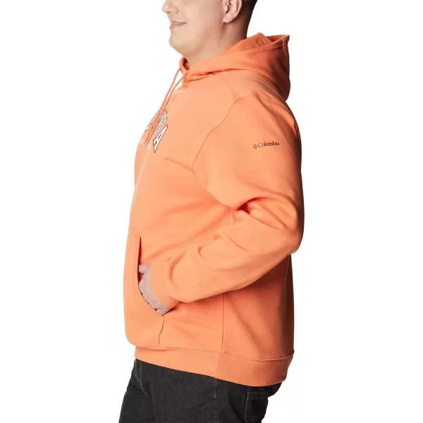 Columbia Mens CSC Basic Logo Ii HoodieDesert OrangeCsc Varsity Arch 2