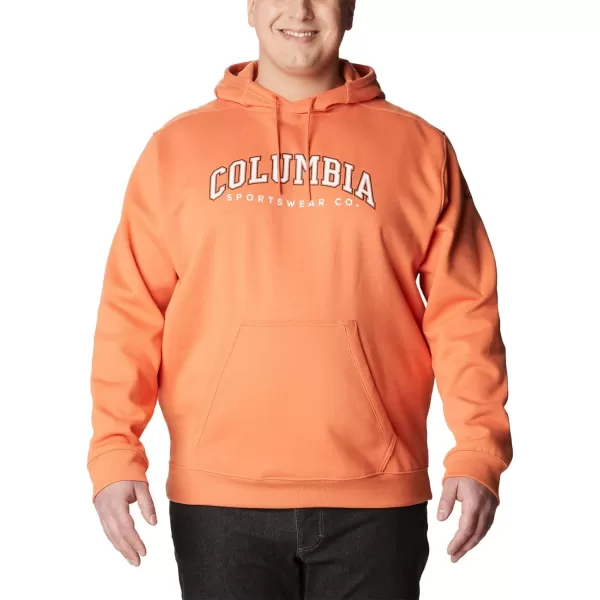 Columbia Mens CSC Basic Logo Ii HoodieDesert OrangeCsc Varsity Arch 2