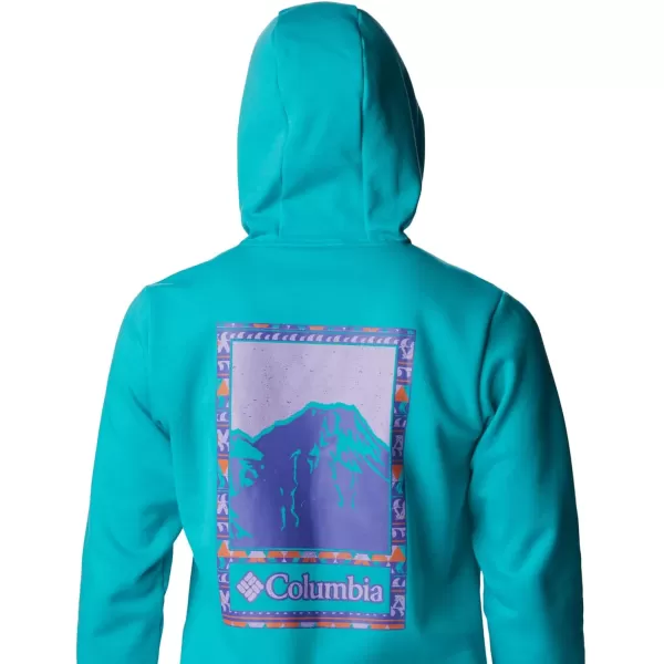 Columbia Mens CSC Graphic HoodieBright AquaBordered Beauty