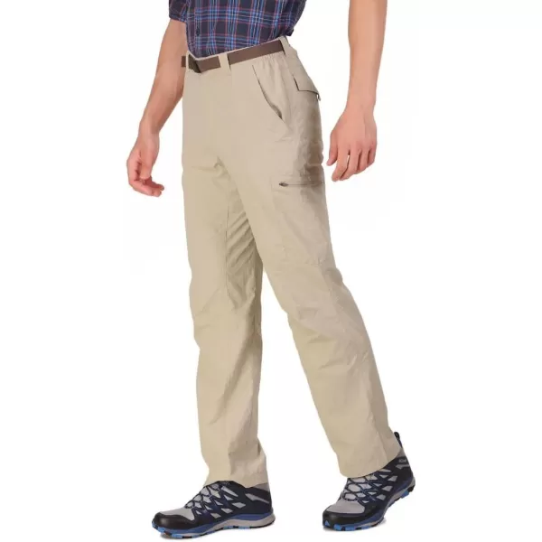 Columbia Mens Silver Ridge Cargo PantFossil