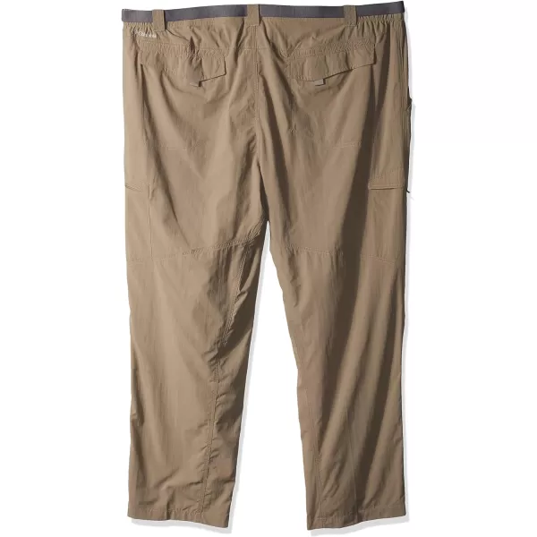 Columbia Mens Silver Ridge Cargo PantSage