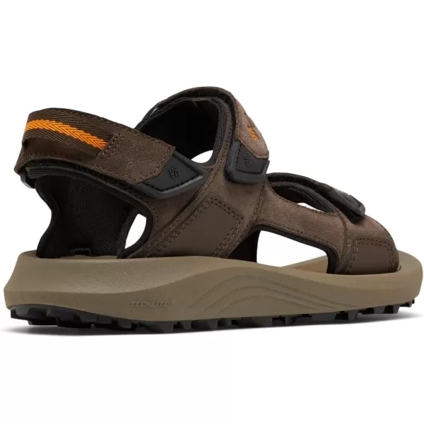 Columbia Mens Trailstorm Hiker 3 Strap Sport SandalCordovanGold Amber