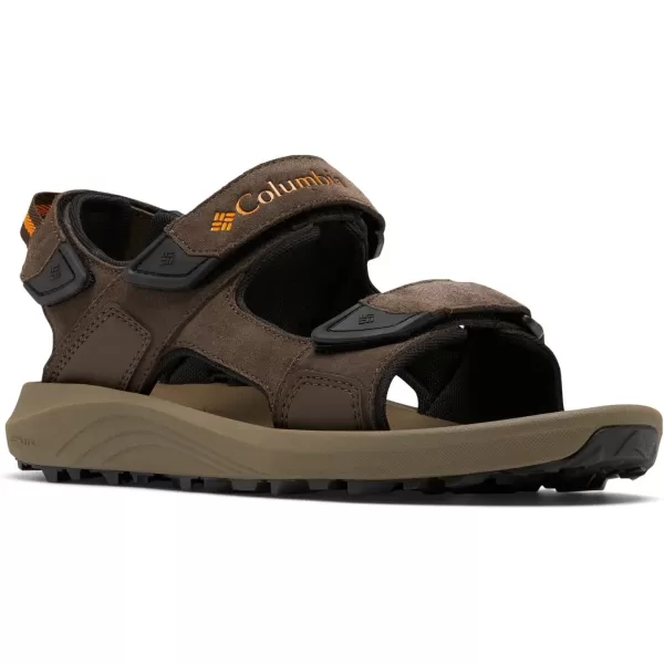 Columbia Mens Trailstorm Hiker 3 Strap Sport SandalCordovanGold Amber