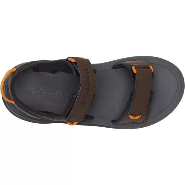 Columbia Mens Trailstorm Sandal SportCordovanBlack