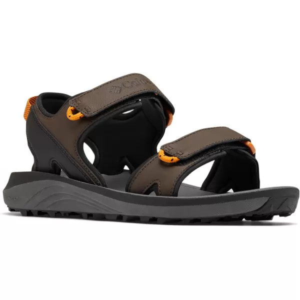 Columbia Mens Trailstorm Sandal SportCordovanBlack