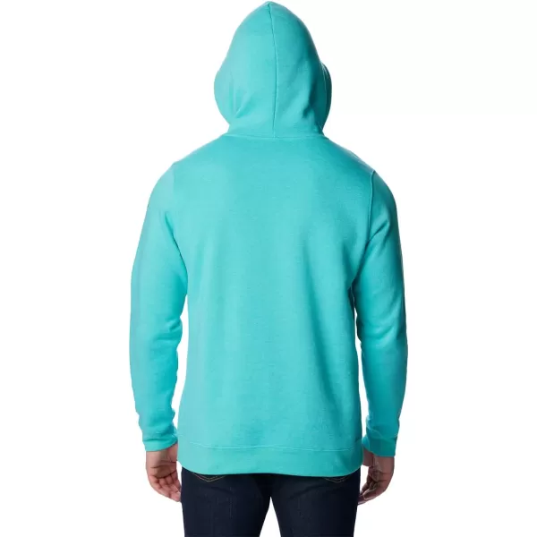 Columbia Mens Trek Graphic HoodieBright Aqua HeatherTreestriped Flag