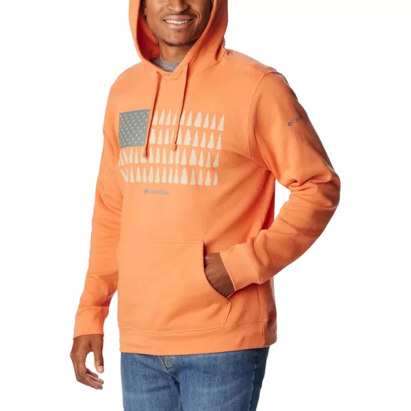 Columbia Mens Trek Graphic HoodieDesert OrangeTreestriped Flag