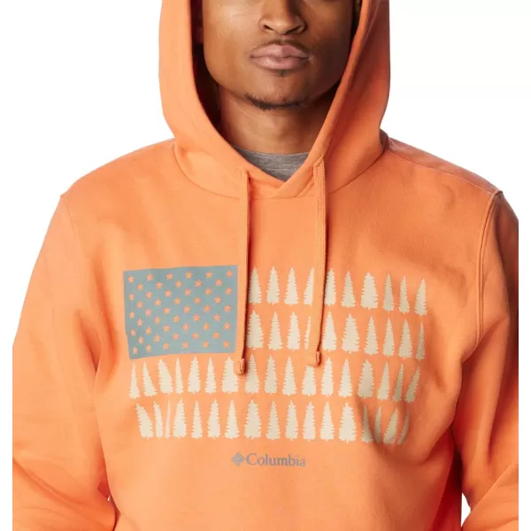 Columbia Mens Trek Graphic HoodieDesert OrangeTreestriped Flag