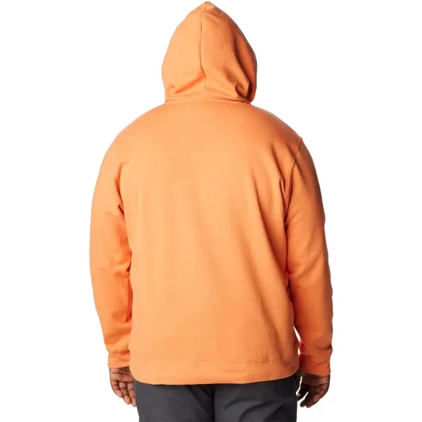 Columbia Mens Trek Graphic HoodieDesert OrangeTreestriped Flag