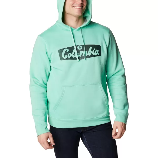 Columbia Mens Trek Graphic HoodieKelp HeatherHex Script