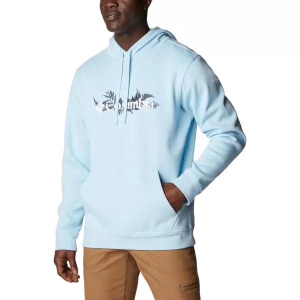 Columbia Mens Trek Graphic HoodieSky BlueNorthwoods Brand