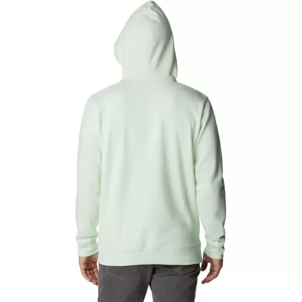 Columbia Mens Trek HoodieIce GreenCsc Branded Logo
